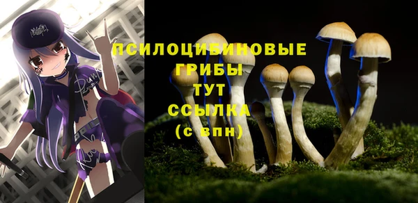 PSILOCYBIN Заводоуковск